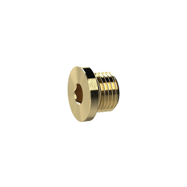 Riegler Plug screw, hexagon socket and collar, G 1/4, SW 6, MS 135963