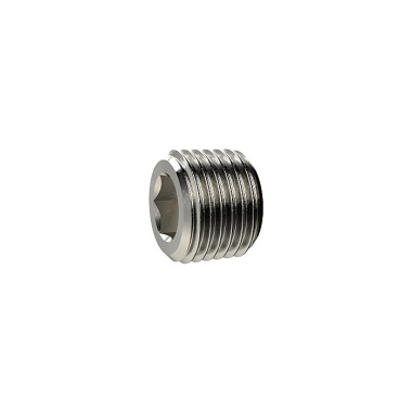 Riegler Plug screw, hexagon socket, without collar, R 1, nickel-plated brass. 136454