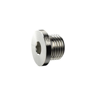 Riegler Closing screw, hexagon socket and collar, G 1/8, nickel-plated brass. 137910