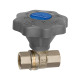 Riegler Ball valve fine adjustment, nickel-plated bright brass, Rp 1/4 138871