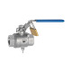 Riegler ES safety ball valve lockable, vent hole M5, G 1/4 151730