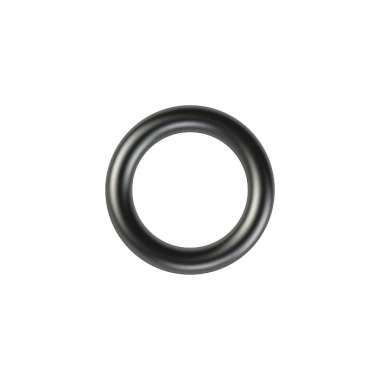 Riegler Replacement seal for cylinder pressure regulator 300 bar, all gas types 155238