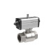 Riegler Brass ball valve, Pneum. actuation drive, double-acting, Rp 1 1/4 158800