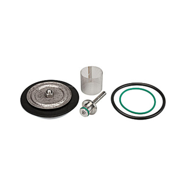 Riegler Wear part set with PTFE diaphragm, max. 50 bar, G 1/4 194362