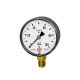 Riegler Capsule pressure gauge, radial bottom, G 1/4, -160 / 0 mbar, Ø 63 199280