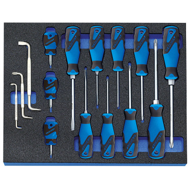 GEDORE Screwdriver set in check tool module, 15 pcs 2005 CT2-2160