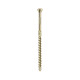 Eurotec Hobotec decorative head - brass plated - TX10 - 3.2 x 30 mm 903437