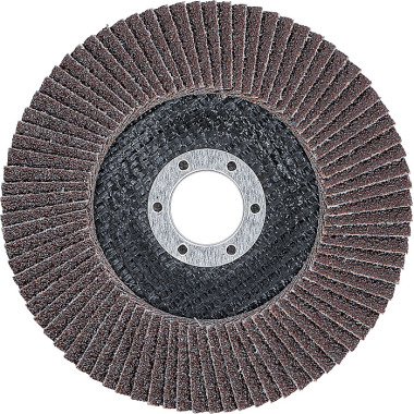 BGS Flap Disc | Ø 125 mm | K 40 3974