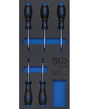 BGS Tool Tray 1/3: Screwdriver T-Star (for Torx) | 5 pcs. 4076