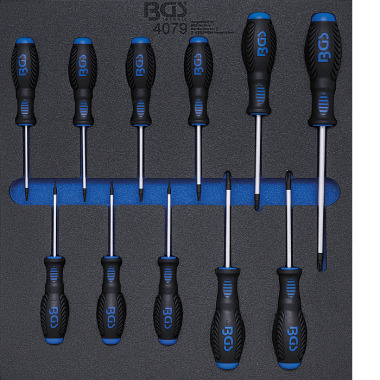 BGS Tool Tray 2/3: Screwdriver Set | T-Star (for Torx) T6 - T40 | 11 pcs. 4079