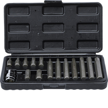 BGS Bit Set | 10 mm (3/8”) Drive | internal Hexagon | 15 pcs. 5070