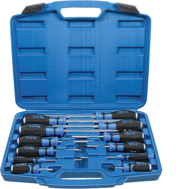 BGS Screwdriver Set | with 6.3 mm (1/4”) Internal Square | 12 pcs. 7896