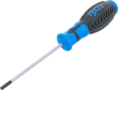 BGS Screwdriver | internal Hexagon 4 mm | Blade Length 100 mm 8629-5