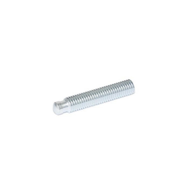 Ganter Grub Screws with Thrust Point, Steel, Zinc Plated 6332-M12-100-SKN-ZB