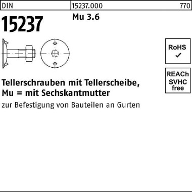 Tellerschraube DIN 15237 6-ktmutter M8x 30 3.6 100 Stück 152370000080030