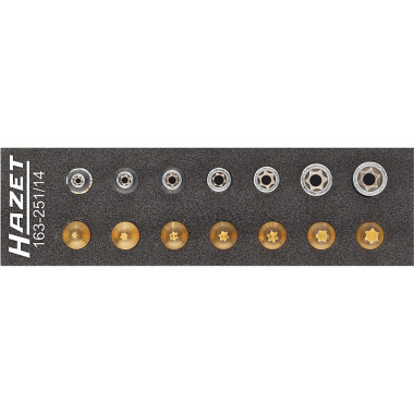 HAZET Juego de herramientas, TORX® - hueco cuadrado 6,3 mm (1/4 pulgada) - perfil TORX® externo, perfil TORX® interno - número de herramientas: 14 163-251/14