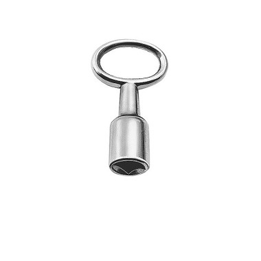 AMF Llave de mandril SW6mm niquelada con interior 4KT 56002