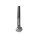 AMF Tornillo ranura en T DIN787 9 M10x10x 40 83956