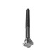 AMF Tornillo ranura en T DIN787 9 M10x10x 50 83972