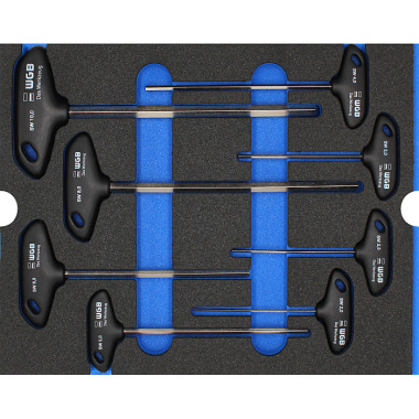 WGB Modul Stiftschlüssel mit Quergriff, 8-teilig 6390000
