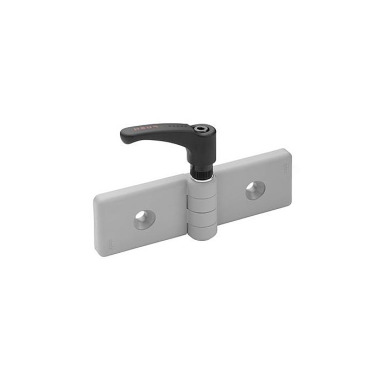 Ganter Bisagras para sistemas de perfilería, plástico GN 159-84-17-32-LG-2