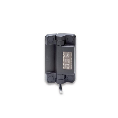 Ganter Bisagras con interruptor de seguridad, plástico, con cable GN 239.6-60-110-1-BK-5