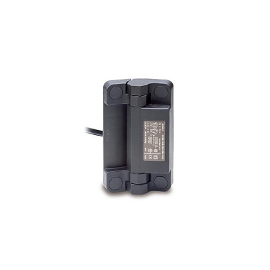 Ganter Bisagras con interruptor de seguridad, plástico, con cable GN 239.6-60-110-1-CK-5