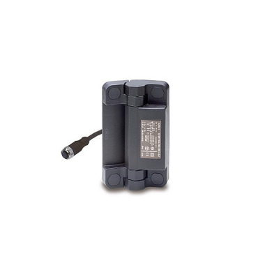 Ganter Bisagras con interruptor de seguridad con conector, plástico GN 239.6-60-110-1-CSK