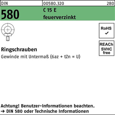 Ringschraube DIN 580 M10 C 15 E feuerverz. 25 Stüc k 005803200100000