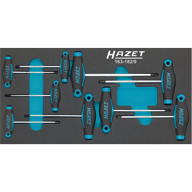 HAZET Jeu de tournevis avec poignée en T - Profil TORX® intérieur - Nombre d’outils : 9 163-182/9