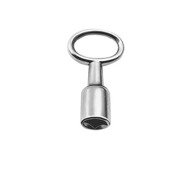 AMF Clé à ergot SW8mm nickelée avec intérieur 4KT 56028