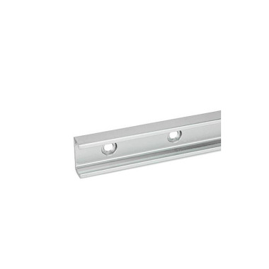 Ganter Rails de guidage linéaire de galets à came GN 2422-43-1520-40-XT