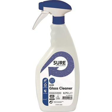 Glasreiniger Glass Cleaner 750ml Sprühflasche 100891496