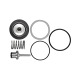 Riegler Set parti soggette ad usura per regolatore di pressione/filtro regolatore in acciaio inox, BG 3 137115