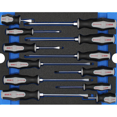 WGB Modul Schraubendreher, 12-teilig 6240000