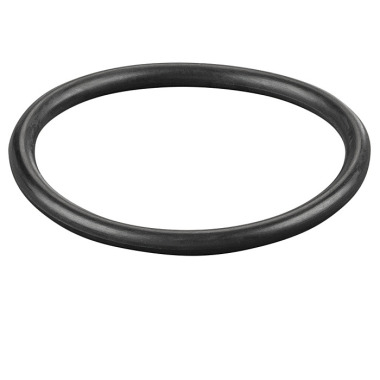 REMS O-ring 060018