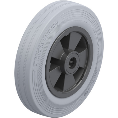 Blickle VPP 200/20R-SG 82511