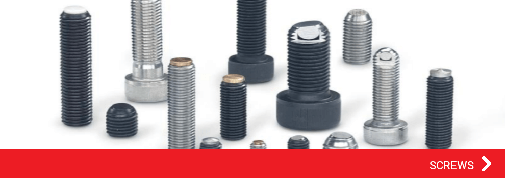 GANTER NORM STANDARD PARTS - SCREWS