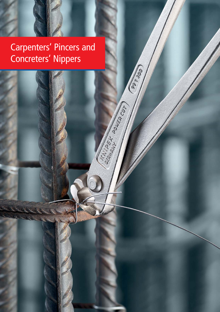 Knipex General Catalogue NR.: 105 - Seite 85