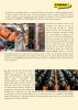 FAMAG main catalog drilling and punching tools NO.: 19969 Page 3