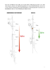 SKYLOTEC Klettersteigfibel NR.: 19998 Side 17