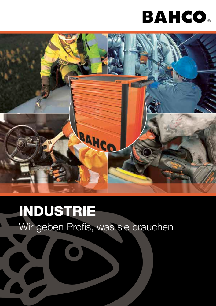 BAHCO Katalog Industrie NR.: 20062