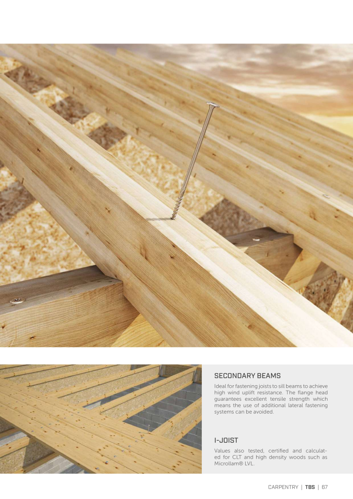 Rothoblaas - Wood screws and connectors NO.: 20238 - Page 67