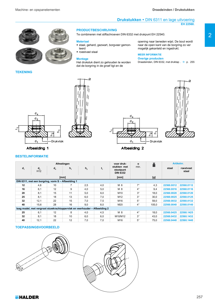 HALDER Hoofdcatalogus Normdelen NR.: 21021 - Pagina 257
