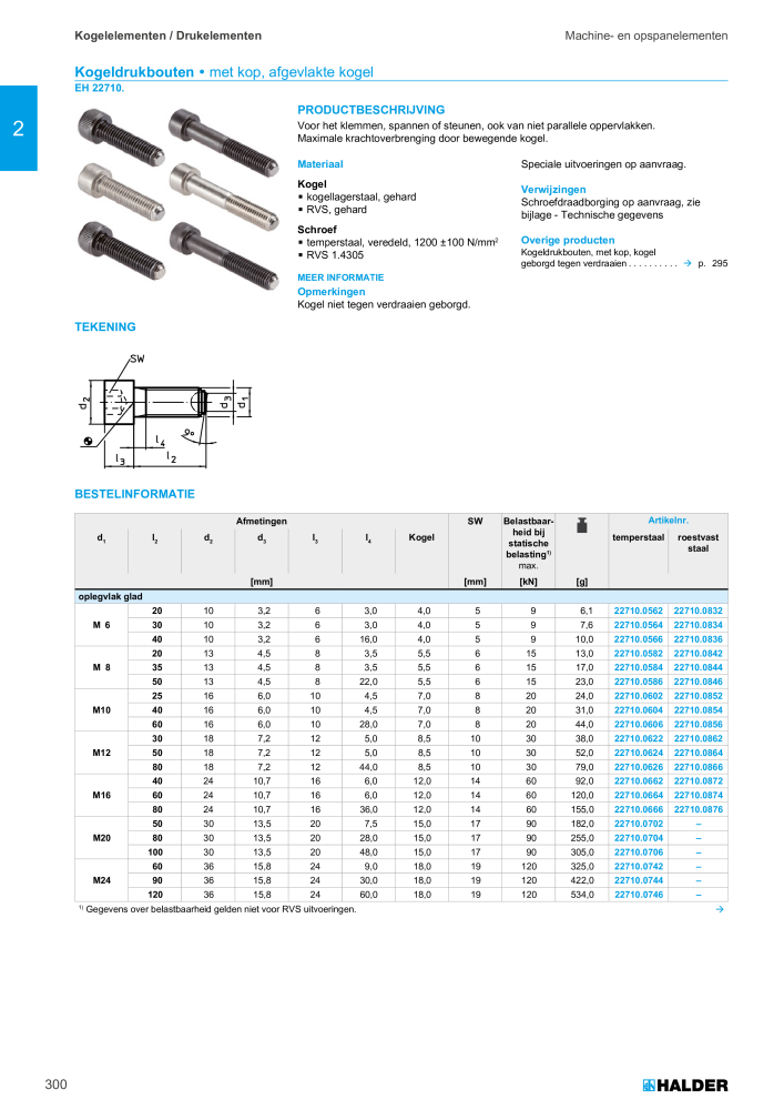 HALDER Hoofdcatalogus Normdelen NR.: 21021 - Pagina 300