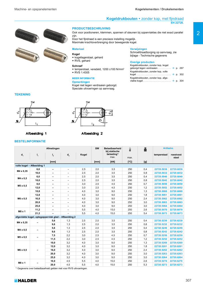 HALDER Hoofdcatalogus Normdelen NR.: 21021 - Pagina 307