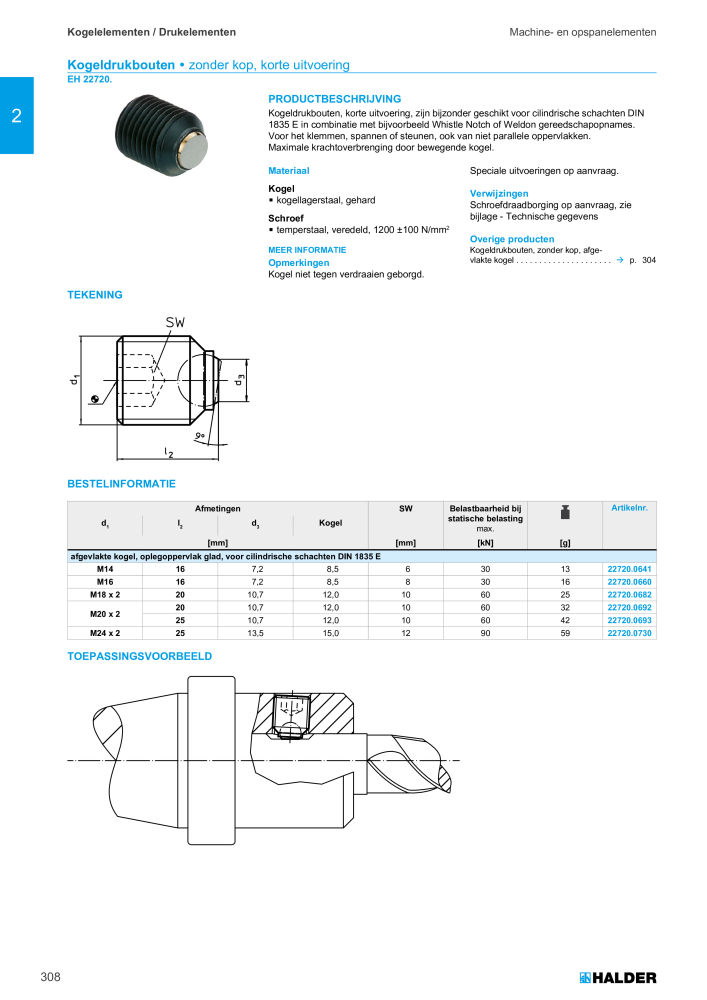 HALDER Hoofdcatalogus Normdelen NR.: 21021 - Pagina 308