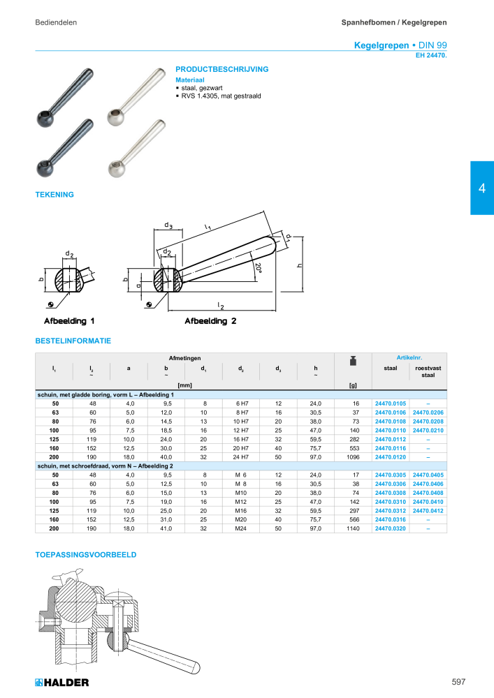 HALDER Hoofdcatalogus Normdelen NR.: 21021 - Pagina 597