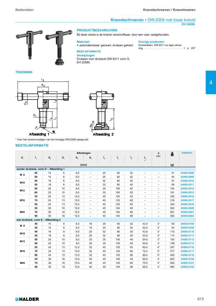 HALDER Hoofdcatalogus Normdelen NR.: 21021 - Pagina 613