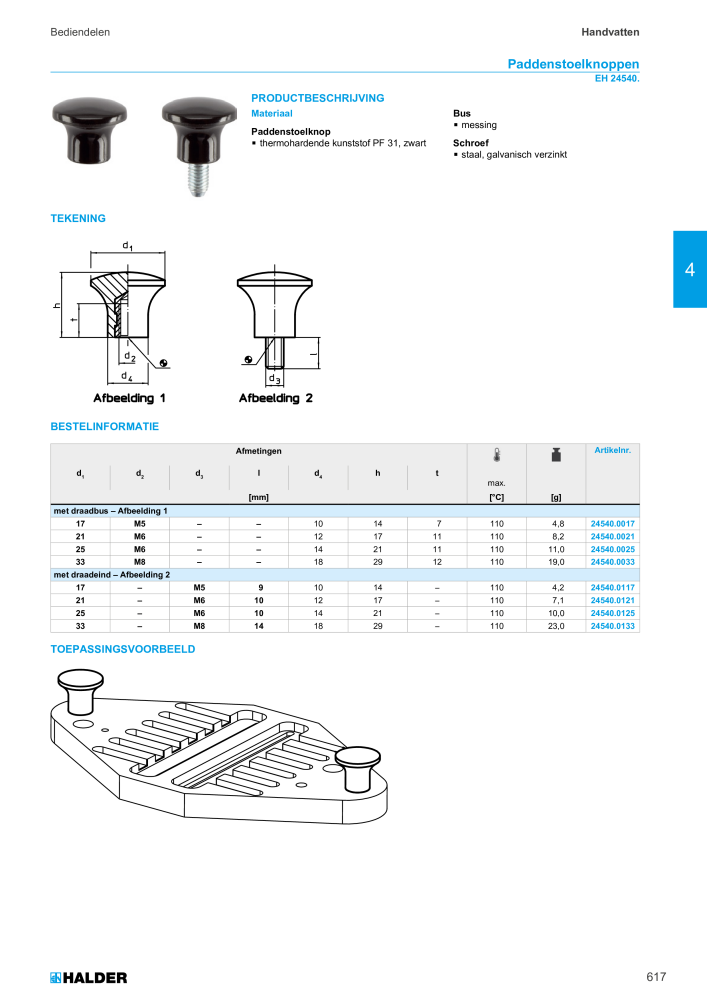 HALDER Hoofdcatalogus Normdelen NR.: 21021 - Pagina 617